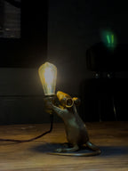 The Light Keeper