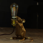 The Light Keeper