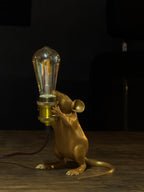 The Light Keeper
